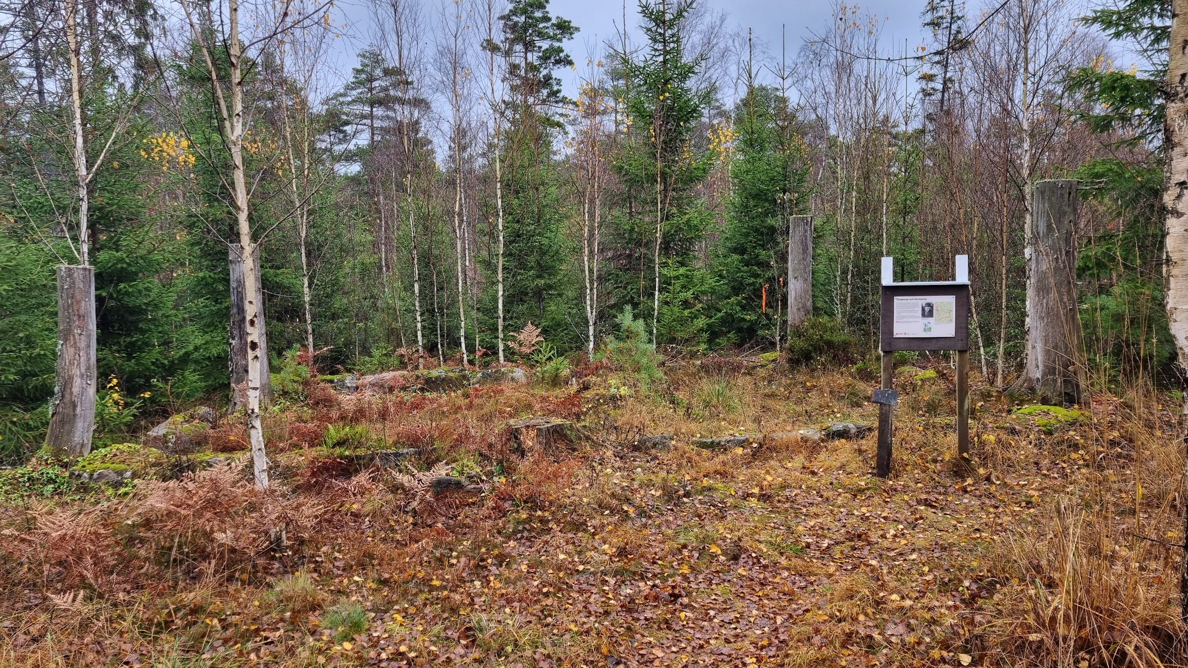 Tuskebo promenadstig